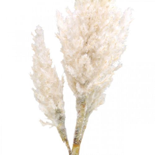 Floristik24 Pampas gräs vit kräm konstgräs dekoration 82cm