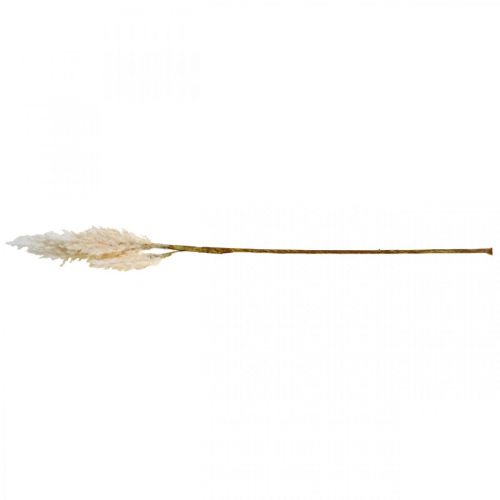 Floristik24 Pampas gräs vit kräm konstgräs dekoration 82cm