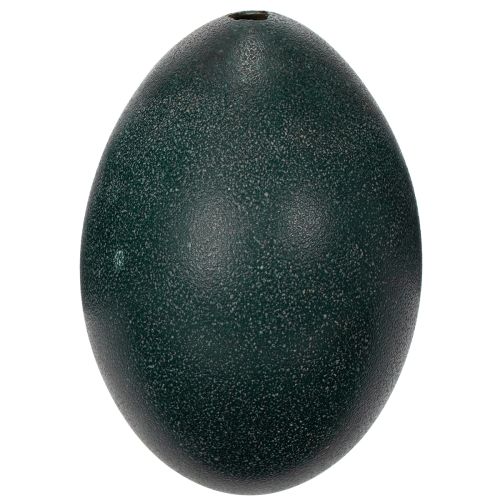 Artikel Emuei-dekorationer för festlig heminredning och snygga accenter till påsk