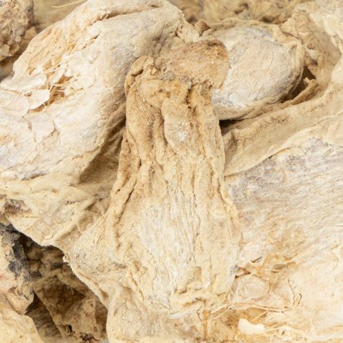 Artikel Torkad ingefära dekoration naturlig dekoration 500g
