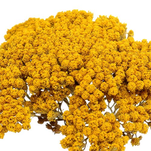 Artikel Achillea 500g naturlig