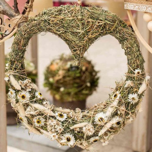 Floristik24 Acroclinium White, torra växter, halmblommor, torrblommor L20–40cm 25g