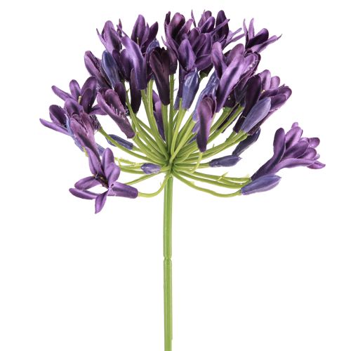 Artikel Agapanthus konstgjorda blommor lila dekorationsliljor 75cm 2st