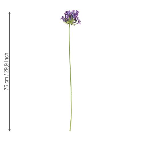 Artikel Agapanthus konstgjorda blommor lila dekorationsliljor 75cm 2st