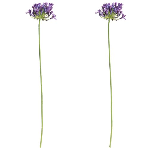 Artikel Agapanthus konstgjorda blommor lila dekorationsliljor 75cm 2st