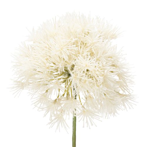 Floristik24 Konstgjord blomma Allium, elegant design för inomhusbruk, 68 cm