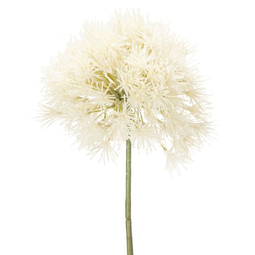 Artikel Konstgjord blomma Allium, elegant design för inomhusbruk, 68 cm