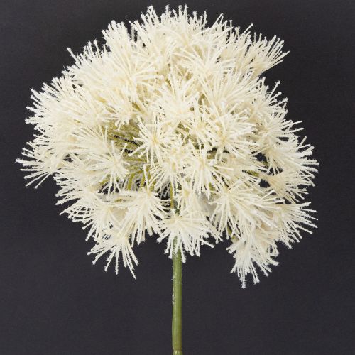 Artikel Konstgjord blomma Allium, elegant design för inomhusbruk, 68 cm