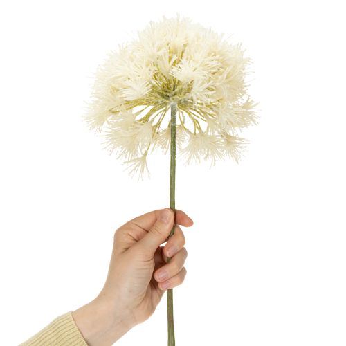 Artikel Konstgjord blomma Allium, elegant design för inomhusbruk, 68 cm