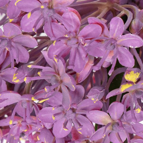 Artikel Konstgjord Alliumblomma, prydnadslök, elegant rumsdekoration, 90 cm