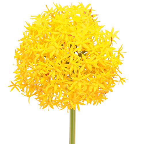 Artikel Allium Gul Blomma Konstgjord Lök 80cm Ø14,5cm 2st