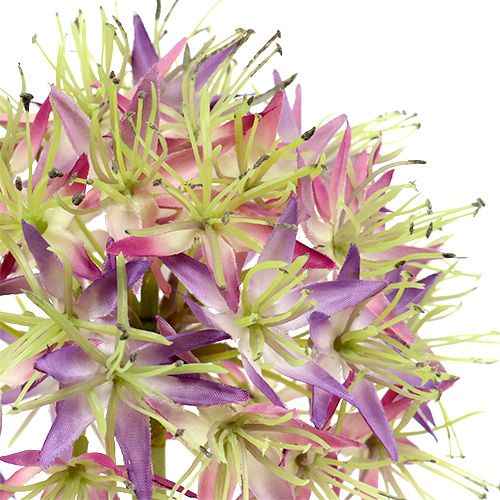 Floristik24 Allium ljuslila L76cm