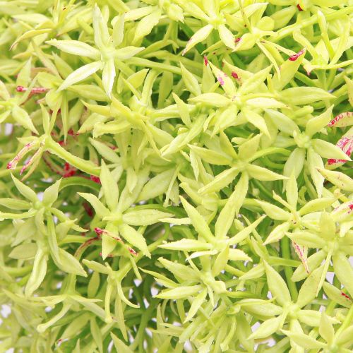 Artikel Allium grön blomma konstgjord prydnadslök Ø18cm 90cm