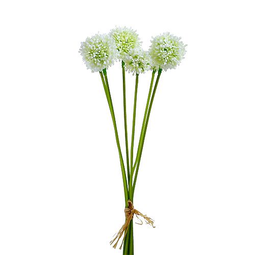 Floristik24 Allium 35cm vit 6st