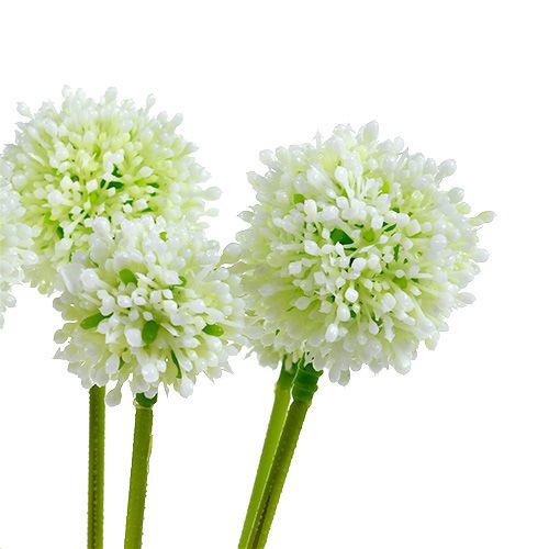 Artikel Allium 35cm vit 6st