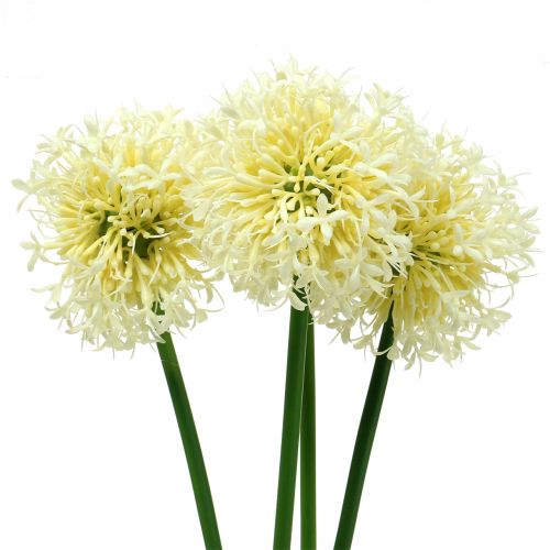 Floristik24 Prydnads Allium konstgjord vit 51 cm 4st