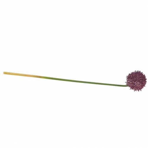 Floristik24 Ornamental allium konstgjord lila Ø8cm 58cm