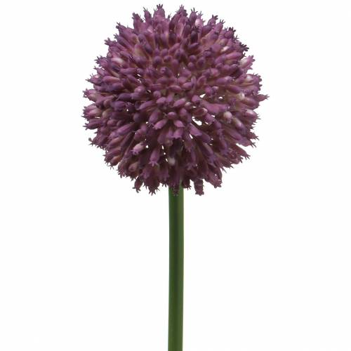 Floristik24 Ornamental allium konstgjord lila Ø8cm 58cm