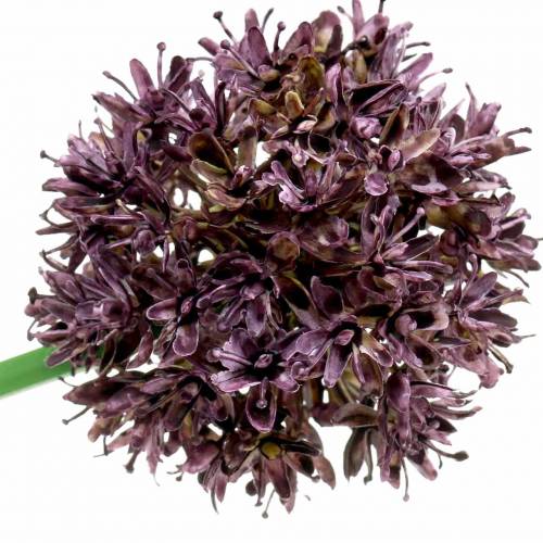 Floristik24 Prydnads Allium konstgjord lila Ø7cm H58cm 4st