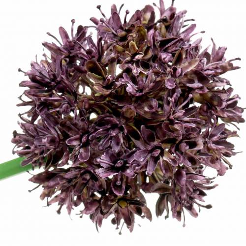 Artikel Prydnads Allium konstgjord lila Ø7cm H58cm 4st