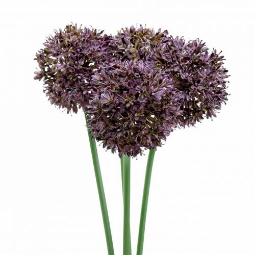 Floristik24 Prydnads Allium konstgjord lila Ø7cm H58cm 4st