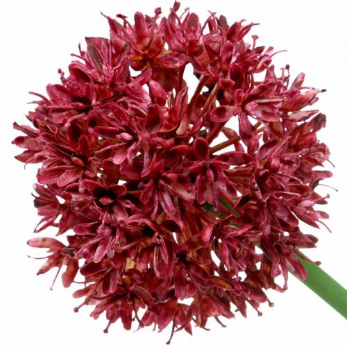Floristik24 Prydnads Allium konstgjord Mauve Ø7cm H58cm 4st