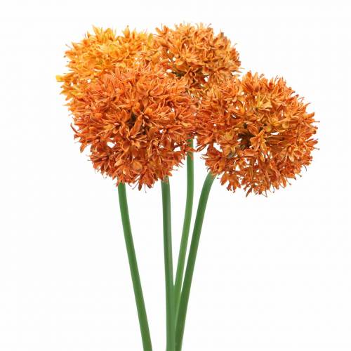 Floristik24 Prydnadslök Allium konstgjord orange Ø7cm H58cm 4st