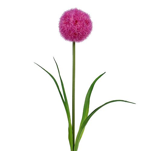 Floristik24 Allium 68cm rosa-lila