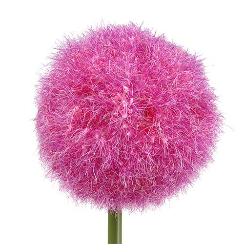 Floristik24 Allium 68cm rosa-lila