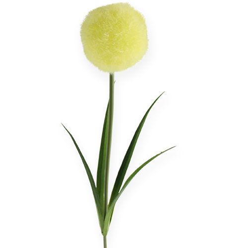 Floristik24 Allium gul 68cm