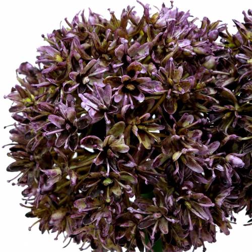 Floristik24 Prydnadsallium konstgjord lila 70 cm 3st