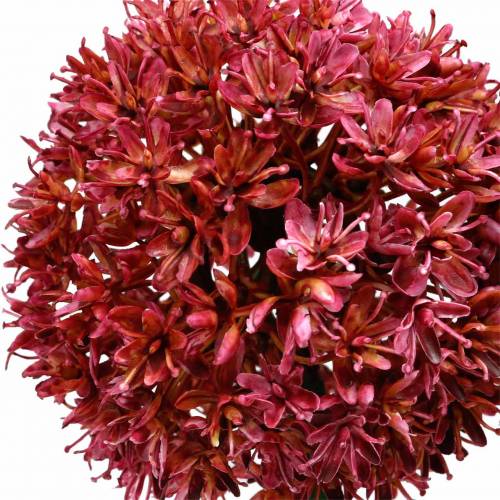 Floristik24 Prydnads allium konstgjord Mauve Ø9cm H70cm 3st