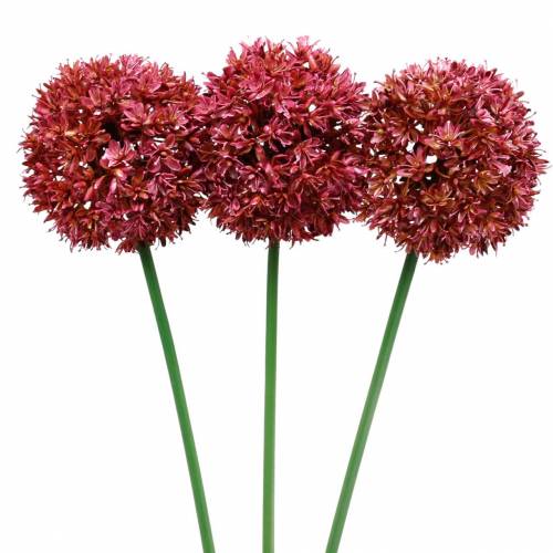 Floristik24 Prydnads allium konstgjord Mauve Ø9cm H70cm 3st