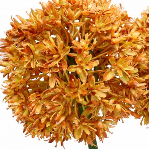 Floristik24 Prydnadslök Allium konstgjord orange 70cm 3st