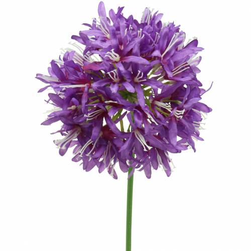 Floristik24 Ornamental allium konstlila Ø12cm H62cm