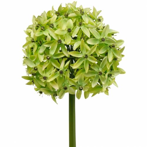 Prydnadslök Allium, sidenblomma, konstgjord kul purjolök Ø20cm L72cm