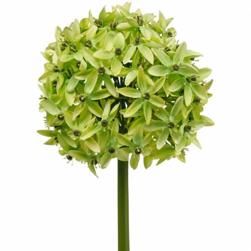 Artikel Prydnadslök Allium, sidenblomma, konstgjord kul purjolök Ø20cm L72cm