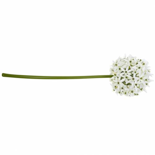 Artikel Dekorativ blomma Allium, konstgjord kul purjolök, prydnadslök vit Ø20cm L72cm