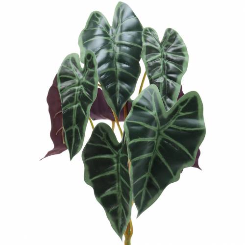 Floristik24 Alocasia pil bladgrön, violett konstväxt H48cm