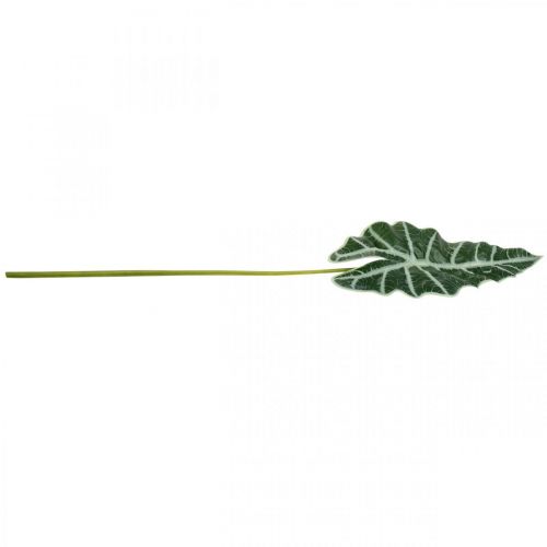 Artikel Konstgjord pilblad konstgjord växt alocasia deco grön 74cm