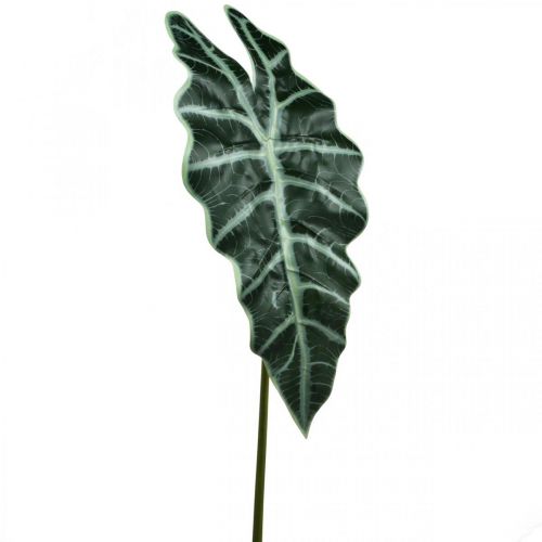 Floristik24 Konstgjord pilblad konstgjord växt alocasia deco grön 74cm