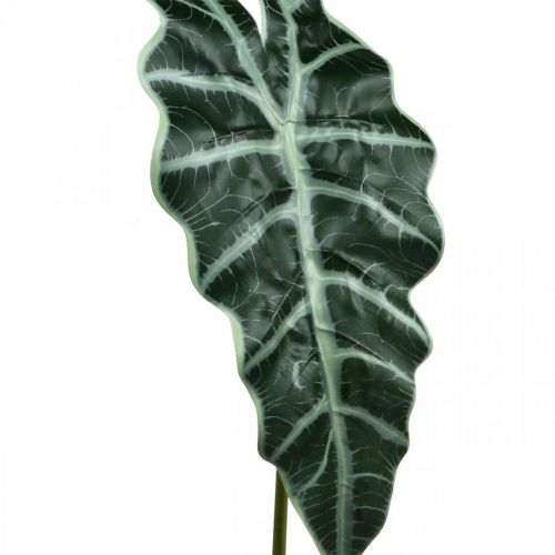 Artikel Konstgjord pilblad konstgjord växt alocasia deco grön 74cm