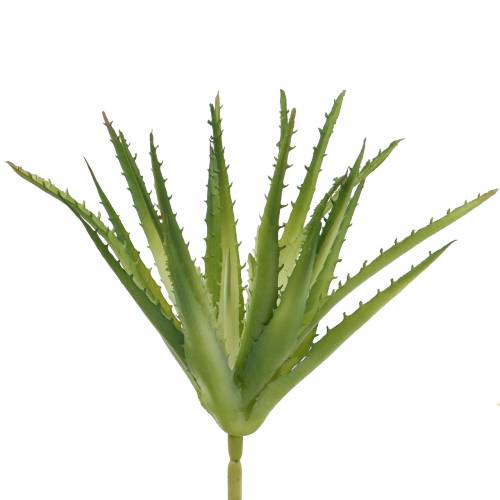 Aloe Vera konstgjord Grön 26cm