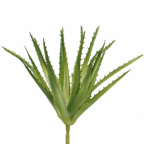 Floristik24 Aloe Vera konstgjord Grön 26cm