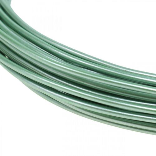 Floristik24 Aluminiumtråd Ø2mm Grön Matt 100g 12m