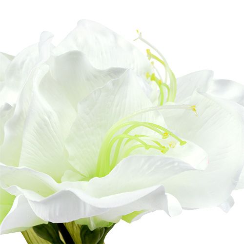 Artikel Amaryllis blomma vit L 73cm 2st