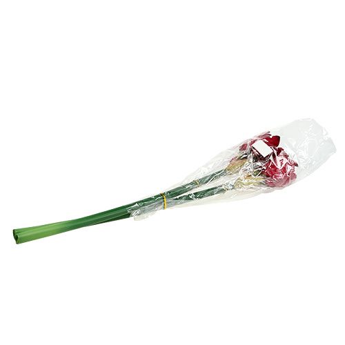 Floristik24 Amaryllis mörkröd L 73cm 2st