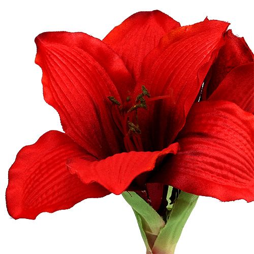 Artikel Amaryllis Red L 68cm 1p