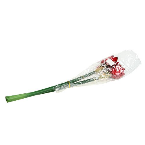 Floristik24 Amaryllis Red L 73cm 2st