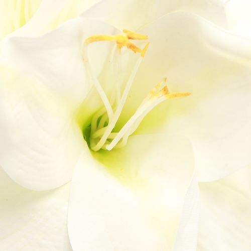 Artikel Amaryllis julblommor konstgjorda L55cm vit 2st